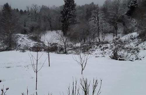 Scionzier Apartment | Studio de la corbaz