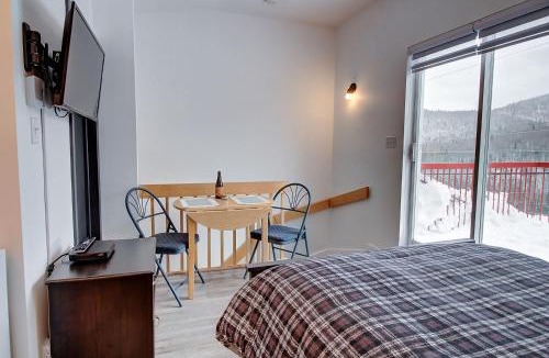 Notre-Dame-Auxiliatrice-de-Buckland Hotel | Studio de Ski 64-2 - Studio Mont du Midi