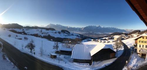 Goldiwil Apartment | Studio der Alpen