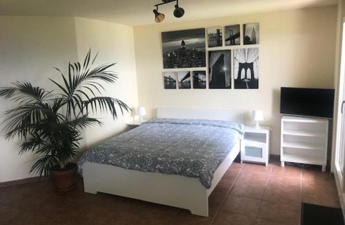 Goldiwil Apartment | Studio der Alpen