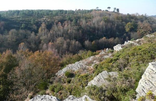 Pipriac House | Studio du Chalet de Caharet