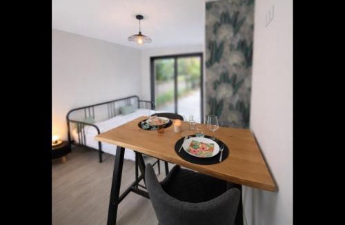 Saint-Andre-de-Cubzac Apartment | Studio du port avec jardin privé