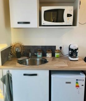Saint-Andre-de-Cubzac Apartment | Studio du port avec jardin privé