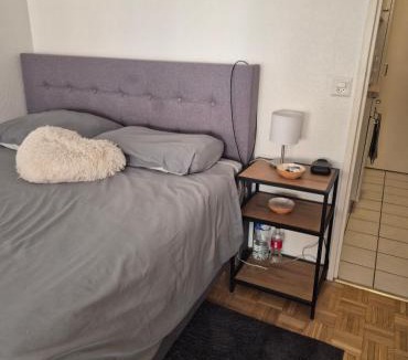 Malombre Apartment | Studio en centre Ville, côté de la Gare de Champel et d l'Hopital
