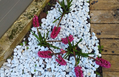 Beaumes-de-Venise Apartment | Studio en Plein Cœur du Village