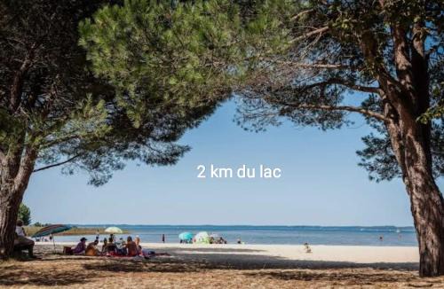 Sanguinet Apartment | Studio entre forêt et lac