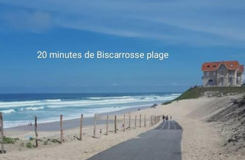 Sanguinet Apartment | Studio entre forêt et lac