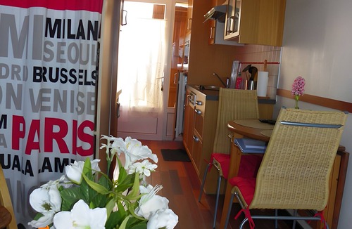 Quend-Plage-les-Pins Apartment | Studio "Face Mer" with Sea View and Shared Terrace