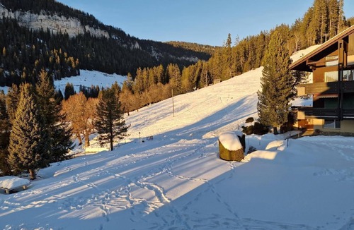 Bangerten Apartment | Studio flat "Haus Ahorni" with mountain view