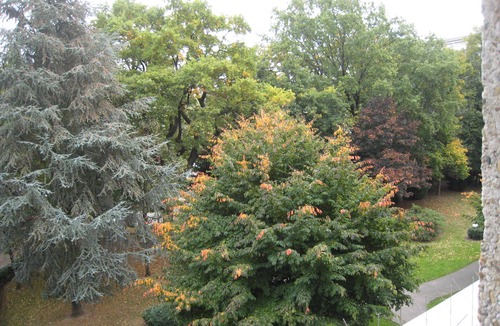 Tour-de-Champel Apartment | Studio flat in a peaceful area with free car park and public transportation