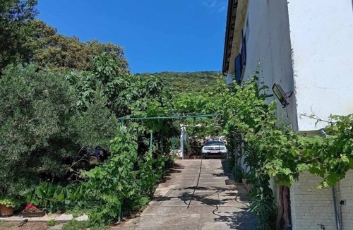 Martinscica Apartment | Studio flat near beach Martinšćica, Cres (AS-23980-a)