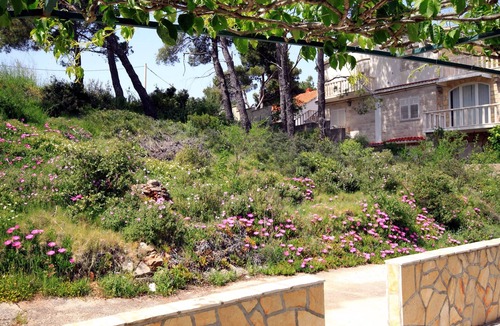 Vrbanj Apartment | Studio flat near beach Basina, Hvar (AS-542-a)