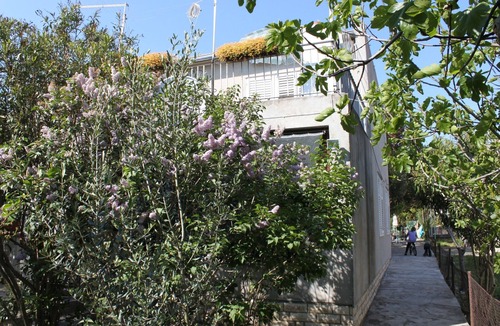 Sukosan Apartment | Studio flat near beach Sukošan, Zadar (AS-6133-a)