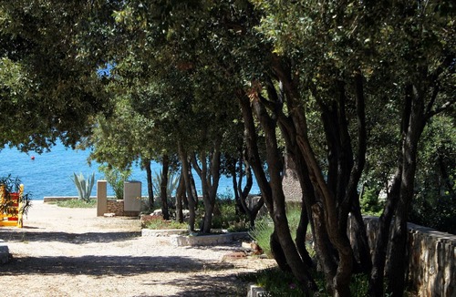 Kolan Apartment | Studio flat near beach Mandre (Pag) (AS-6284-a)