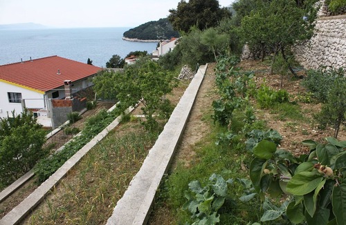 Drvenik Apartment | Studio flat with balcony and sea view Drvenik Gornja vala, Makarska (AS-4890-b)