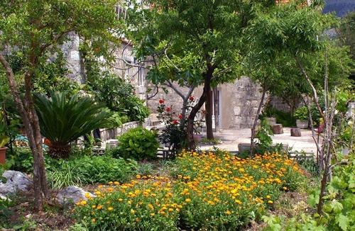 Slano Apartment | Studio flat with balcony and sea view Slano, Dubrovnik (AS-2682-b)