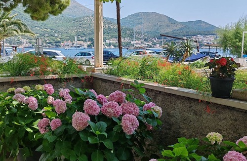 Zaton Apartment | Studio flat with terrace and sea view Zaton Veliki, Dubrovnik (AS-2107-c)