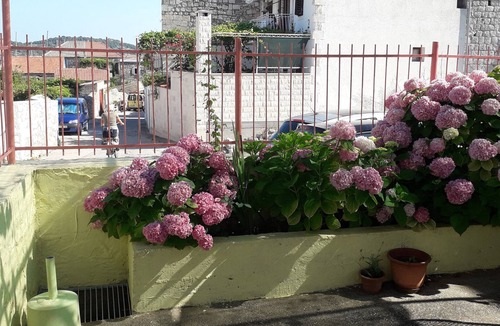 Vis Apartment | Studio flat with terrace Vis (AS-2436-a)