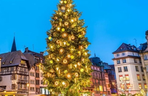 Amneville Apartment | Studio Forêt