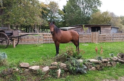 Lourdoueix-Saint-Michel House | Studio barn conversion land bbq possible render horse