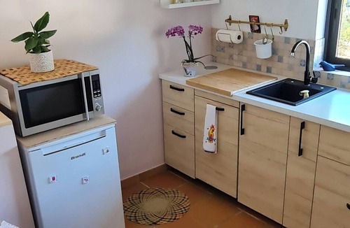 Saint-Martin-de-Londres Apartment | Studio flat with conservatory and garden