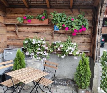 Matten bei Interlaken Apartment | Studio FranGiò