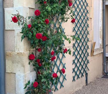 La Chatre Apartment | Studio Gallieni