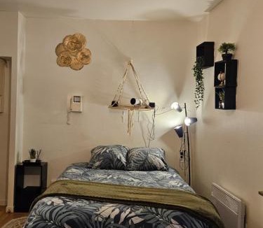 Quartier Vieux Marche-Cathedrale Apartment | Studio gare