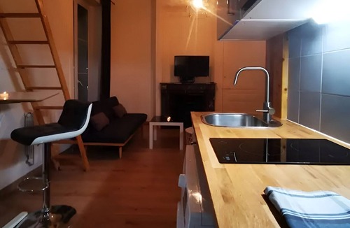 La Demi - Lune Apartment | Studio Hypercentre Tassin - 1