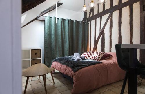 Tours City Centre Apartment | Studio hyper center of Tours