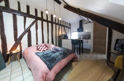 Tours City Centre Apartment | Studio hyper center of Tours