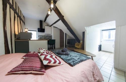 Tours City Centre Apartment | Studio hyper center of Tours