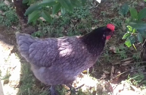 Cadillac Apartment | Studio in Entre deux Mer