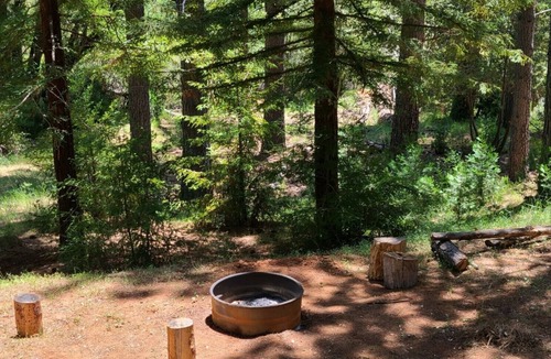 Murphys Apartment | Studio in Forest with Vineyard