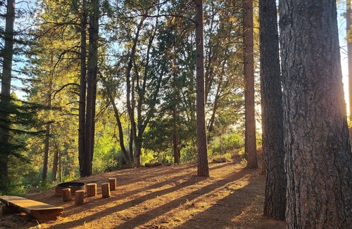 Murphys Apartment | Studio in Forest with Vineyard