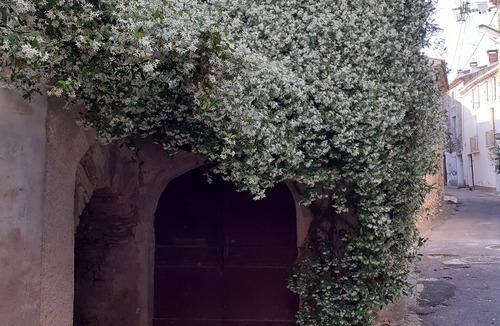 Faugeres Apartment | Studio in my main residence