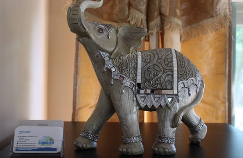 Manoa Apartment | Studio in Paradise