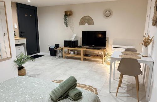 Castelnau-de-Guers Apartment | Studio indépendant a 20min des plages