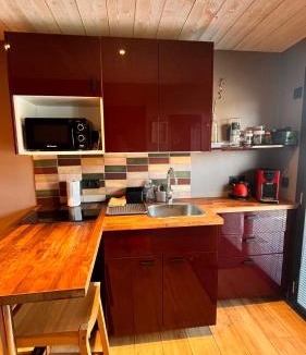 La Roche-sur-Foron Apartment | Studio indépendant avec terrasse privée, entrée autonome