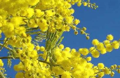 Pegomas Apartment | Studio indépendant dans màs provençal