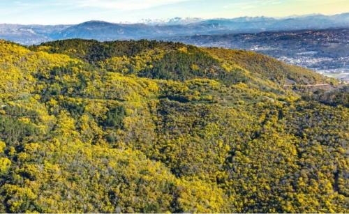 Pegomas Apartment | Studio indépendant dans màs provençal
