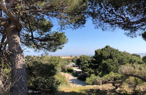 La Palme Apartment | Studio indépendant tout confort pour 4 personnes 25 m carrés