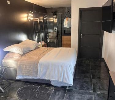 Portet-sur-Garonne Apartment | Studio jacuzzi prive piscine commune