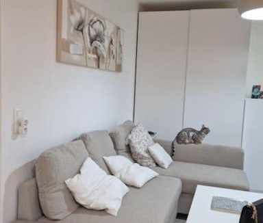 Corbeil-Essonnes Apartment | Studio jardin et terrasse