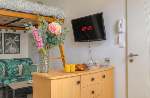 Roussillon-en-Isere Apartment | studio jungle