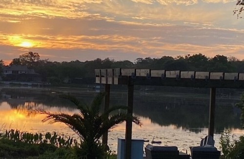 Orlando Apartment | Studio King Bed with Full Kitchen