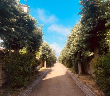 Fontevraud-l'Abbaye Apartment | Studio la Grange