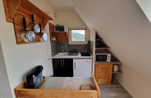 Le Pleynet Apartment | Studio Le Gentiane