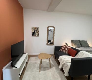 Chateau du Loir Apartment | Studio Le Moderne Tout equipe Centre ville