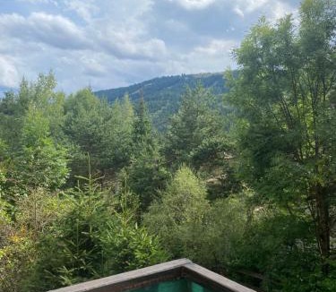 Seyne Apartment | Studio Les Perces Neige